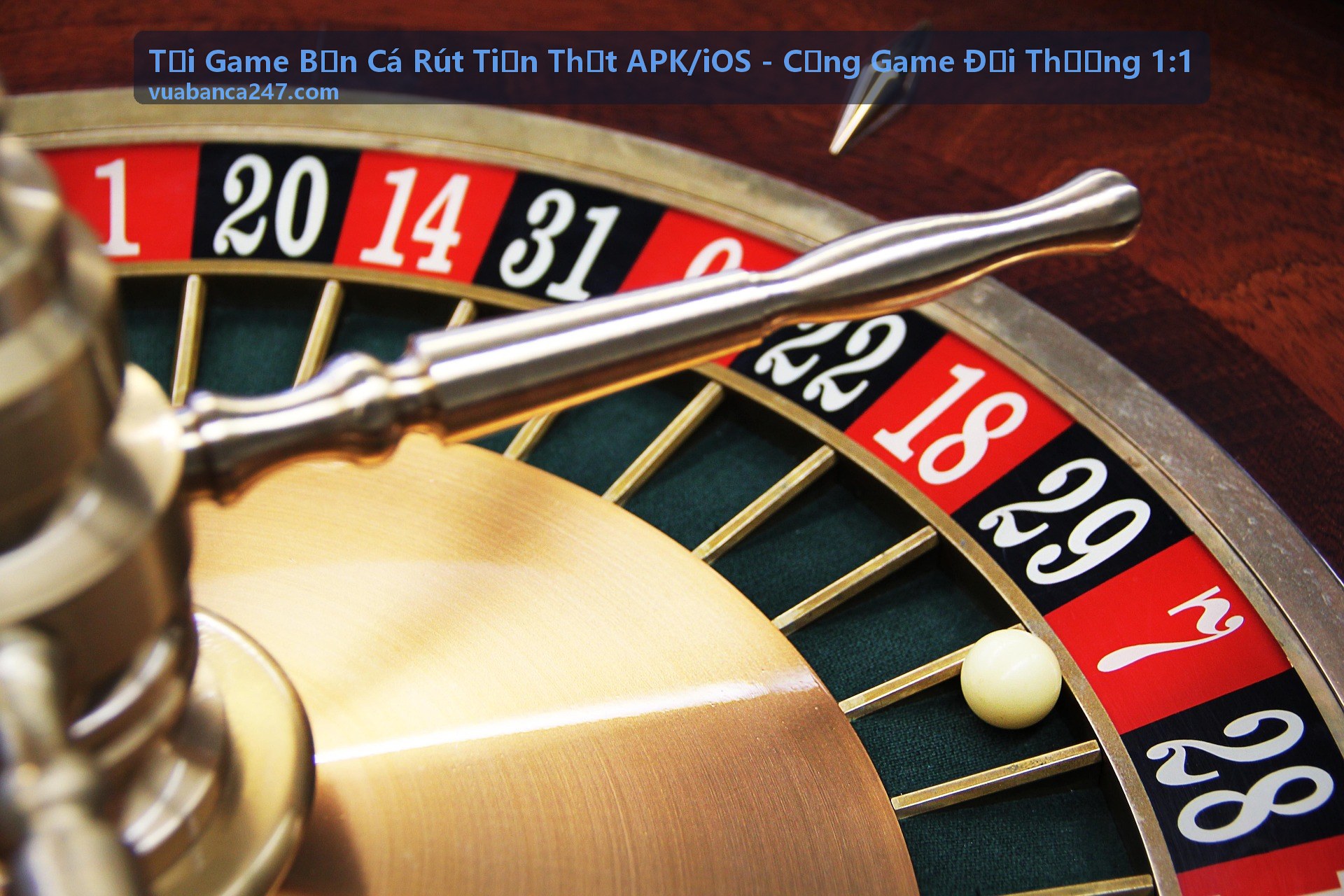 Mẹo Chơi Bắn Cá - Tải Game Bắn Cá Rút Tiền Thật APK/iOS - Cổng Game Đổi Thưởng 1:1